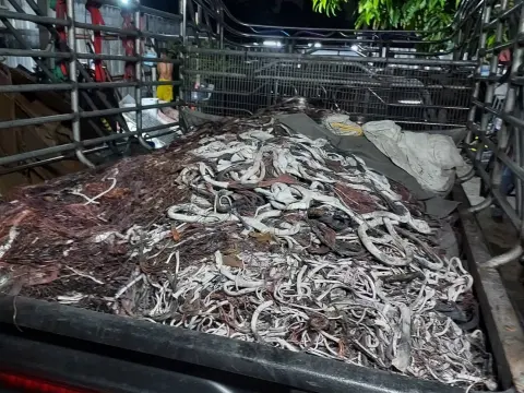 บริการรับซื้อของเก่าปทุมธานี (ภาพที่ 41)
