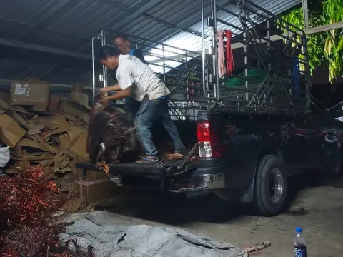 รับซื้อของเก่านอกสถานที่ จ่ายเงินสด (ภาพที่ 45)